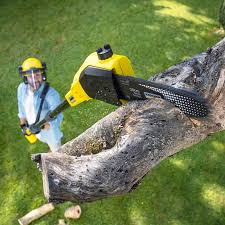 Best Artificial Turf Installation  in Folsom, CA